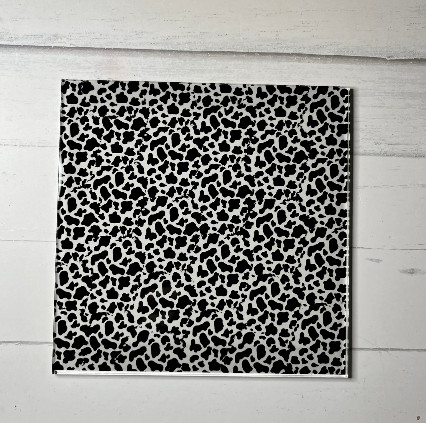 Cowtastic  6"x6" UV Printed 1/8" Acrylic Board